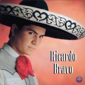 Download track Por El Amor De Una Mujer Ricardo Bravo