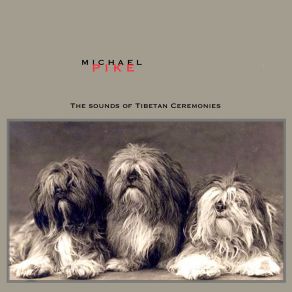 Download track Ceremony Of Tibetan Monks Michael Pike