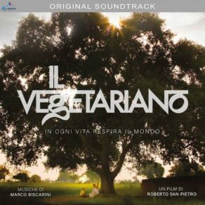 Download track Matrimonio Bangra Marco Biscarini