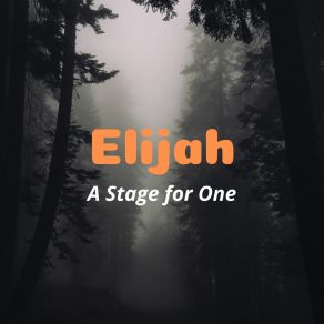 Download track Memories In The Rain The Elijah