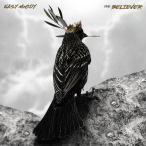 Download track Believer Easy McCoyNehemiah