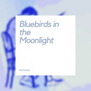 Download track Bluebirds In The Moonlight Fud Candix