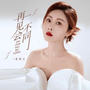 Download track 再见会不同 (伴奏) 金钰儿