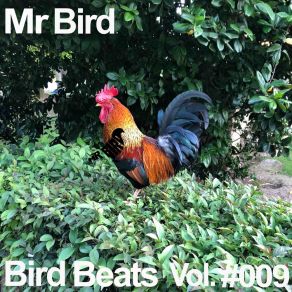 Download track Turn Into Dark Mr Bird