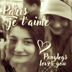 Download track Ou Sommes Nous? Ponylegs Loves You