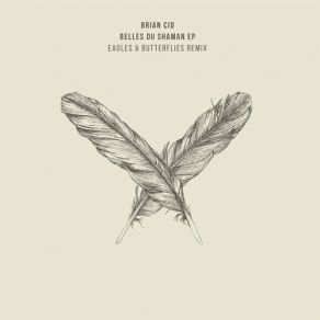 Download track Belles Du Shaman (Original Mix) Brian Cid