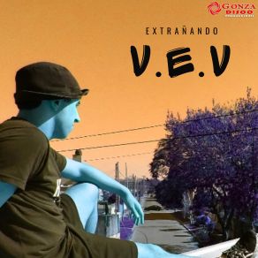 Download track Extrañando V. E. V