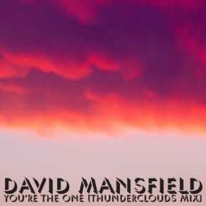 Download track You're The One (Thunderclouds Instrumental Mix) David Mansfield