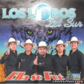 Download track El Tao Tao Los Lobos Del Sur