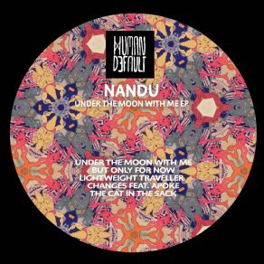 Download track Lightweight Traveller Nandu