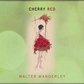 Download track Senhora Walter Wanderley