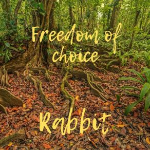 Download track Freedom Of Choice The Rabbit