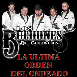 Download track La Ultima Orden Del Ondeado Los Buchones De Culiacan