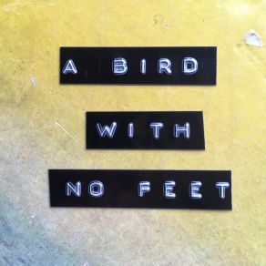 Download track A Bird With No Feet Jas Shaw