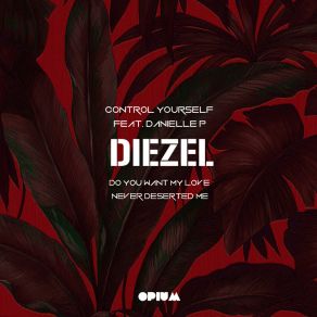 Download track Control Yourself (Original Mix) DiezelDanielle P