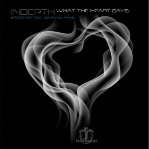 Download track What The Heart Says (Diamandy Remix) Indepth