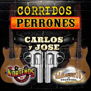 Download track Elenita Carlos, JoséLos Llaneros De Guamuchil