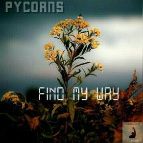 Download track Find My Way (We Work) Pycorns