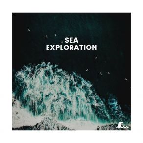 Download track Charming Waves Ocean Sounds FX