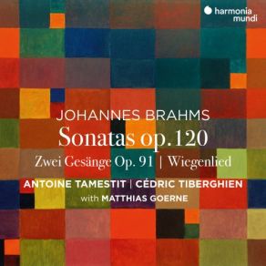 Download track Zwei Gesänge, Op. 91: I. Gestillte Sehnsucht Matthias Goerne, Antoine Tamestit, Cédric Tiberghien