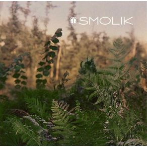 Download track Med 2 SmolikNovika, Bogdan Kondracki, Automatik