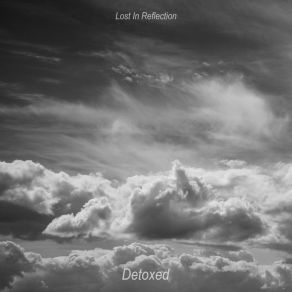 Download track Everyday Lost In Reflection