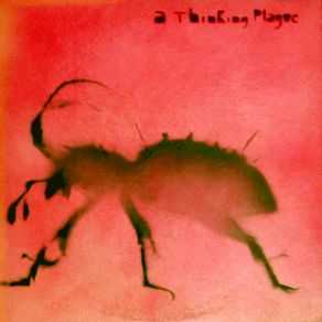 Download track The Taste That Lingers On Thinking Plague