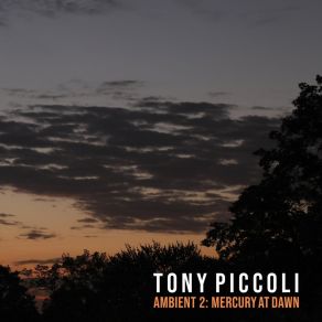 Download track Rise Tony Piccoli