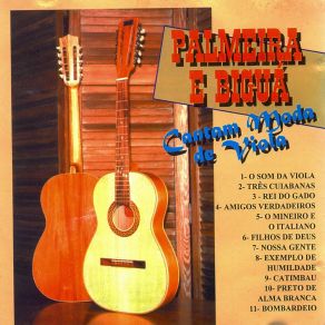 Download track Bombardeio Palmeira E Biguá