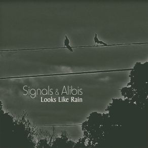 Download track The New Again Signals And Alibis