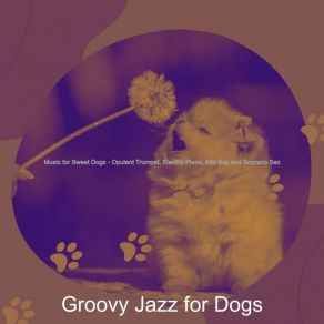 Download track Stellar Backdrops For Puppers Groovy Jazz For Dogs