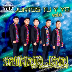 Download track Cañones De Navarone Sentimiento Joven La Esencia MusicalДмитрий Зиновьевич Тёмкин