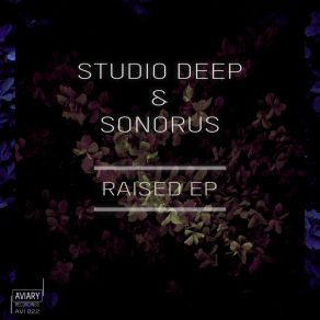 Download track Raised Sonorus