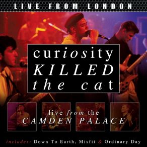 Download track Shallow Memory Curiosity Killed The Cat