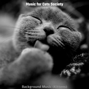 Download track Fabulous (Cats) Music For Cats SocietyThe Cats