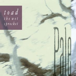 Download track High On A Riverbed Toad The Wet Sprocket