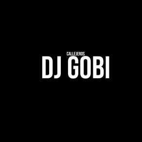 Download track Apie Dj Gobi