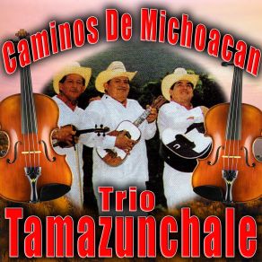 Download track La Carinosa Trío Tamazunchale