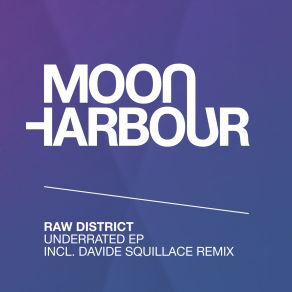 Download track Underrated (Davide Squillace Remix) Raw DistrictForrest