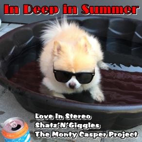 Download track Melting Hot Shatz'N'Giggles