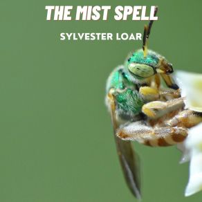 Download track The Mist Spell Sylvester Loar