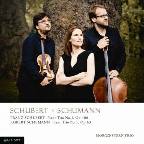 Download track Piano Trio No. 1 In D Minor, Op. 63: I. Mit Energie Und Leidenschaft Morgenstern Trio