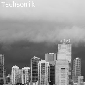 Download track Ruffneck (Original Mix) Techsonik