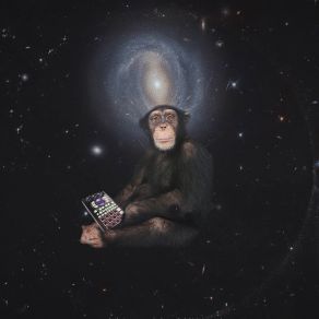 Download track Monkeys In Space (Instrumental) Akira The DonΟΡΓΑΝΙΚΟ