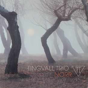 Download track Utsikt Tingvall Trio