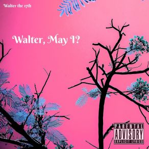 Download track I Broke The Bank Walter The 17th