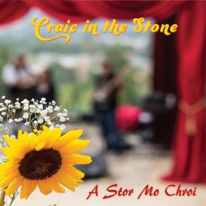 Download track Toss The Feathers Craic In The Stone