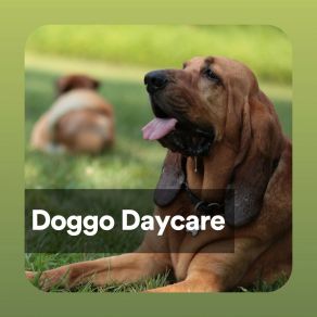 Download track Daycare Relaxmydog