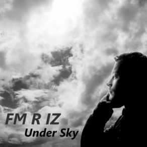 Download track Flamingo Jet (Original Mix) FM R IZ