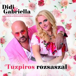 Download track Zsebkendőm Négy Sarka Didi L'amour